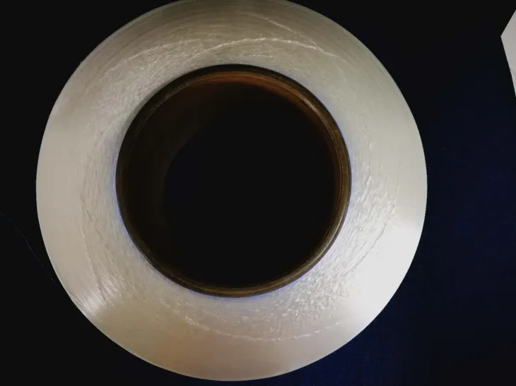 Polyester Fdy 30Denier / 24filament